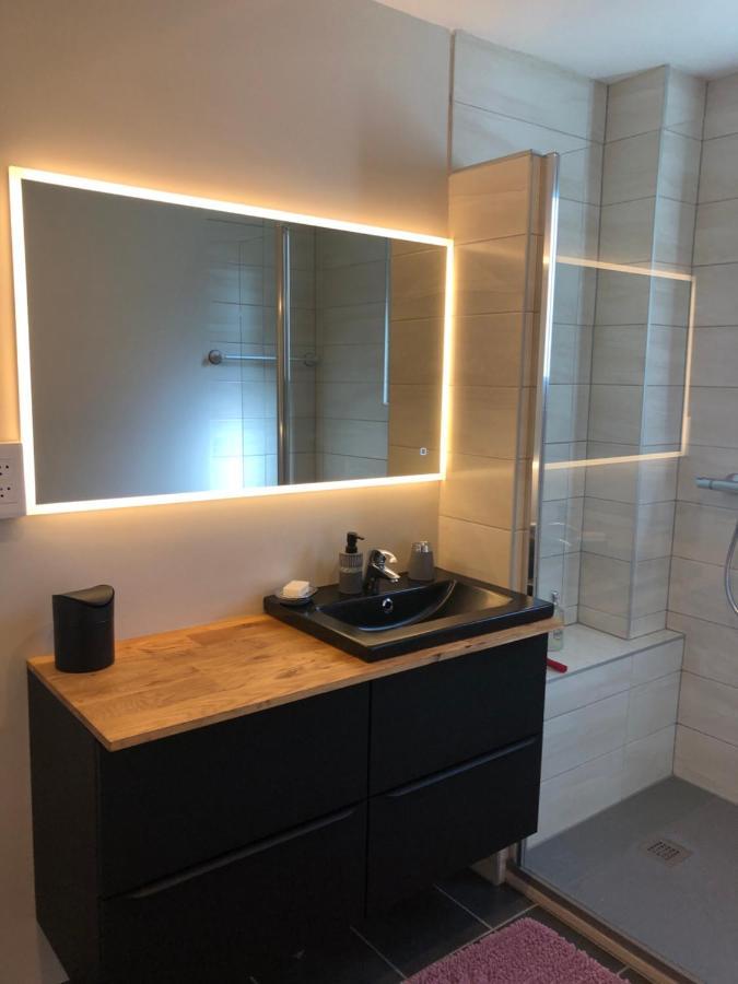 Appartement L'Oeil De Кольмар Екстер'єр фото